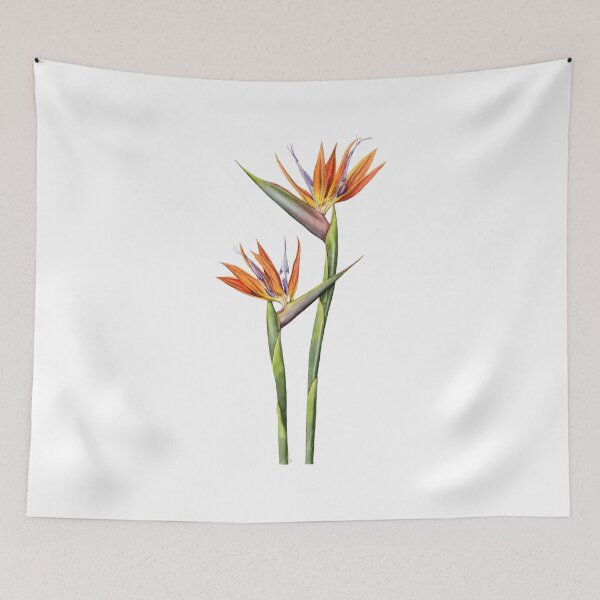 Item preview, Bird of Paradise flower (Strelitzia reginae) designed and sold by Painting By Nature.