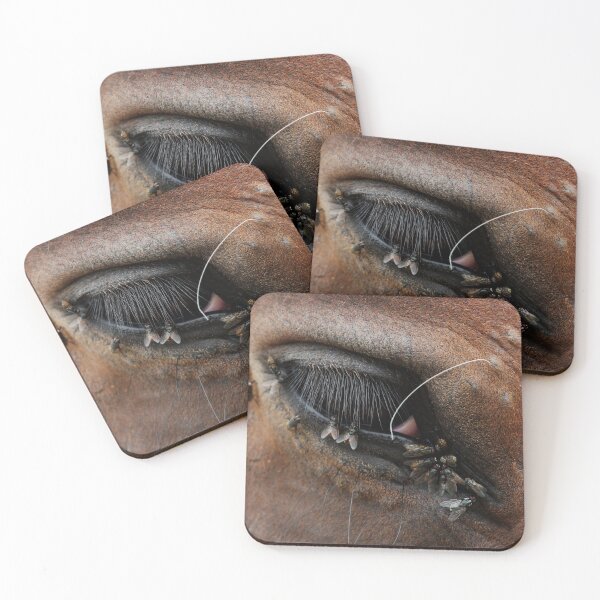 Item preview, Living Feast designed and sold by Shannon Higgs.