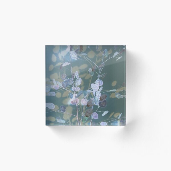 Honesty in Blue Acrylic Block
