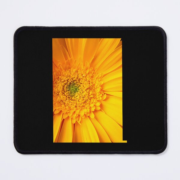 Item preview, Close Up Yellow Gerbera Daisy  	 designed and sold by imokvyxd93.