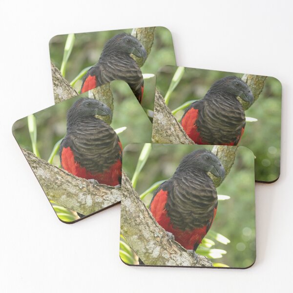 Item preview, Pesquet's Parrot designed and sold by Jade Welch.