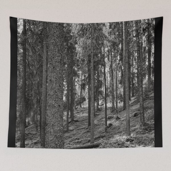 Item preview, Kirkaslamminkangas 14 bw designed and sold by Jouko Lehto Photography.