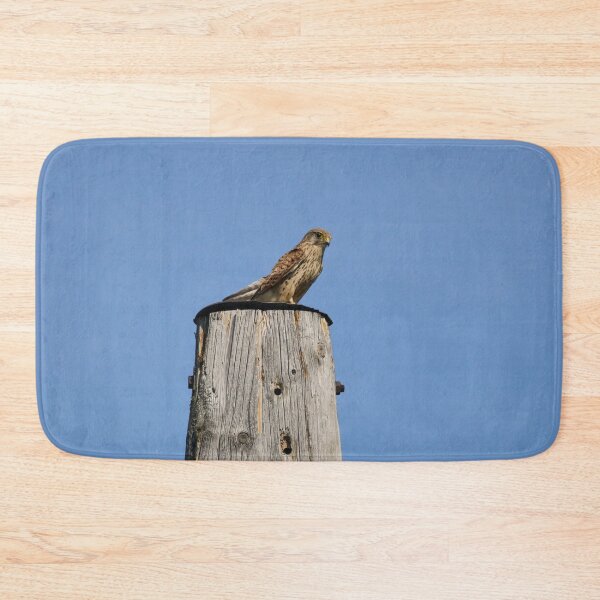 Item preview, Observing the situation. Common kestrel designed and sold by Jouko Lehto Photography.