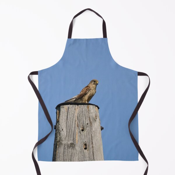 Item preview, Observing the situation. Common kestrel designed and sold by Jouko Lehto Photography.