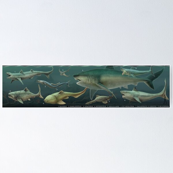 Item preview, PREHISTORIC SHARKS and other FISH designed and sold by Mario Lanzas.