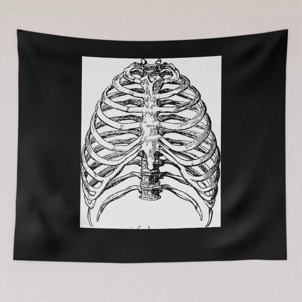 Item preview, Getting Old (Lorde Ribs)  	 designed and sold by cunyrqpe26.
