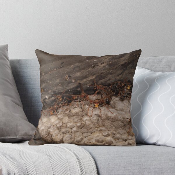 Item preview, Dont Bug me designed and sold by Tom McDonnell.