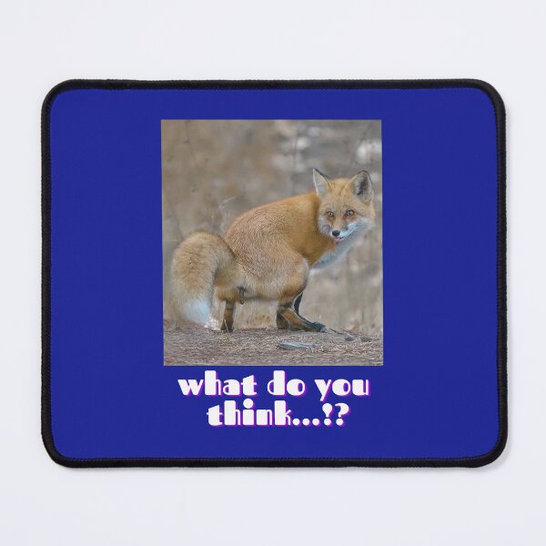 Item preview, Funny Fox poo what do you think shit animal  designed and sold by Boumart07.