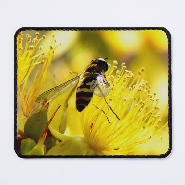 Item preview, Bee with brown and yellow legs designed and sold by keithmilligan.