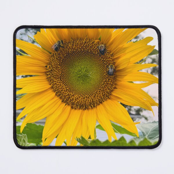 Item preview, Bees day of work at the sunflower designed and sold by TKimerer.