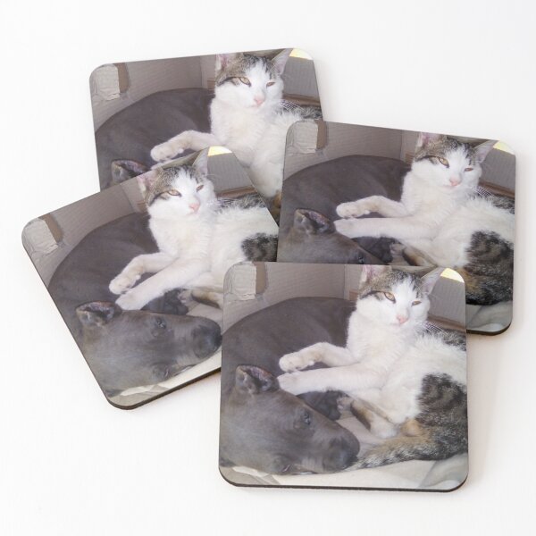 Item preview, dog and cat friends designed and sold by BS-animals.