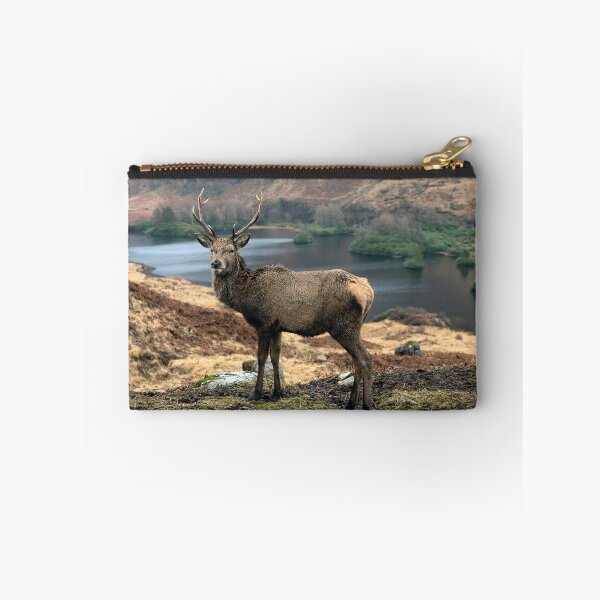 Item preview, The Glen Etive Stag Scotland designed and sold by Martin Lawrence.
