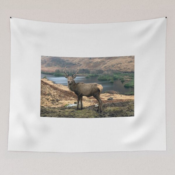 Item preview, The Glen Etive Stag Scotland designed and sold by Martin Lawrence.