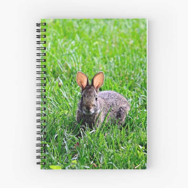 Item preview, Am All Ears Rabbit designed and sold by Strawflower Oasis.