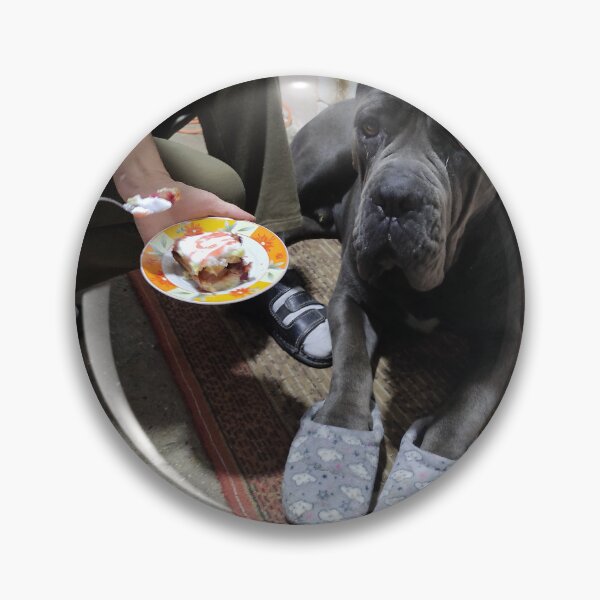 Item preview, the dog in the slippers eats the cake designed and sold by BS-animals.