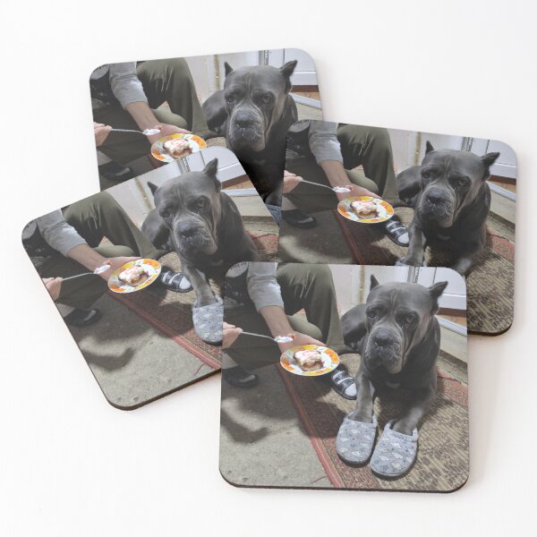 Item preview, the dog in the slippers eats the cake designed and sold by BS-animals.