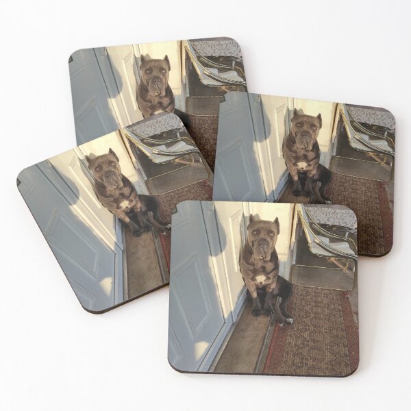Item preview, a big dog on the doorstep with the sun in his eyes Cane corso designed and sold by BS-animals.