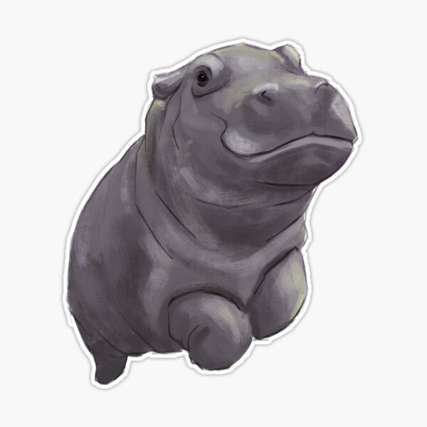 Cute Painted Baby Hippo Swimming - Digital Painting Sticker for Sale by  stilo29