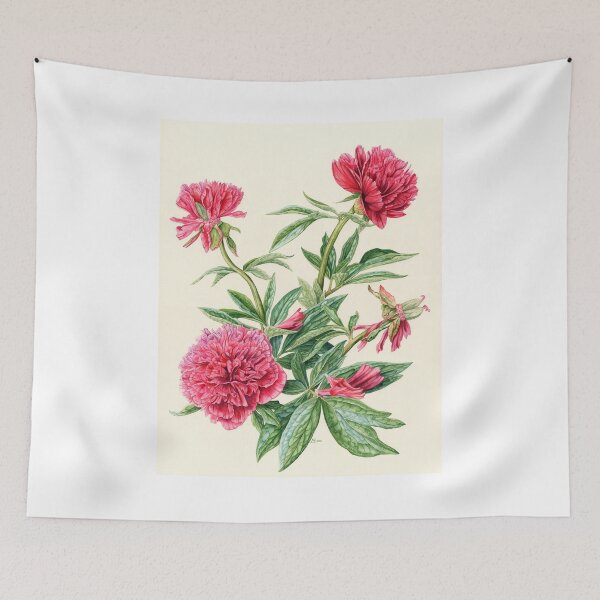 Item preview, Peony, Paeonia officinalis (watercolour on paper) designed and sold by Painting By Nature.
