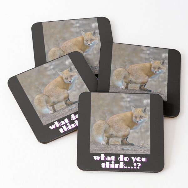 Item preview, Funny Fox poo what do you think shit animal  designed and sold by Boumart07.