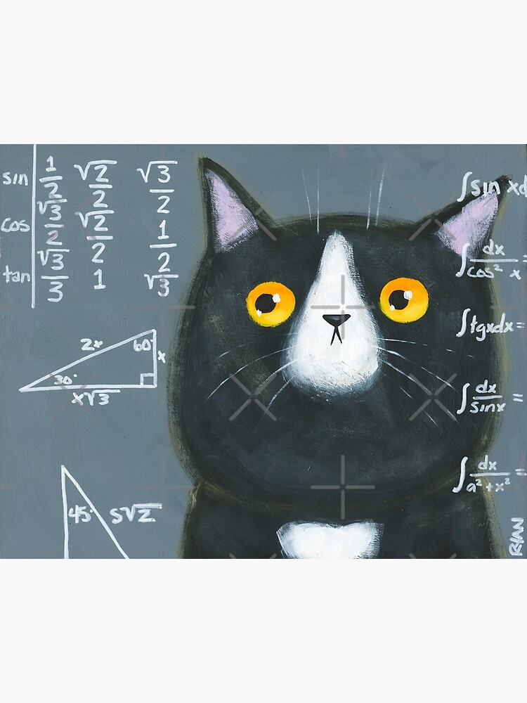 Cat Maths Archives - Creative Maths