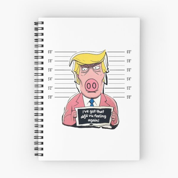 Item preview, Trump indictment déjà vu (#08) [Create a set!] designed and sold by SolidEarthArt.