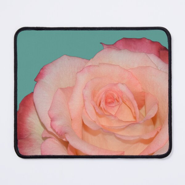 Item preview, Rosa rosa - fondo verde azulado designed and sold by Louise-Mae.