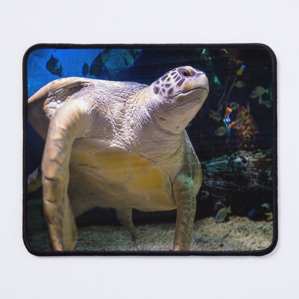 Item preview, sea turtle designed and sold by Constelarium.