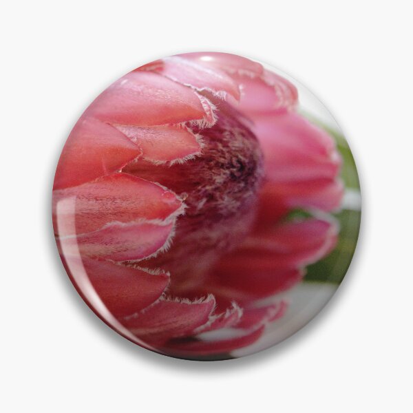Item preview, Beauty of the Protea designed and sold by imaginethis.