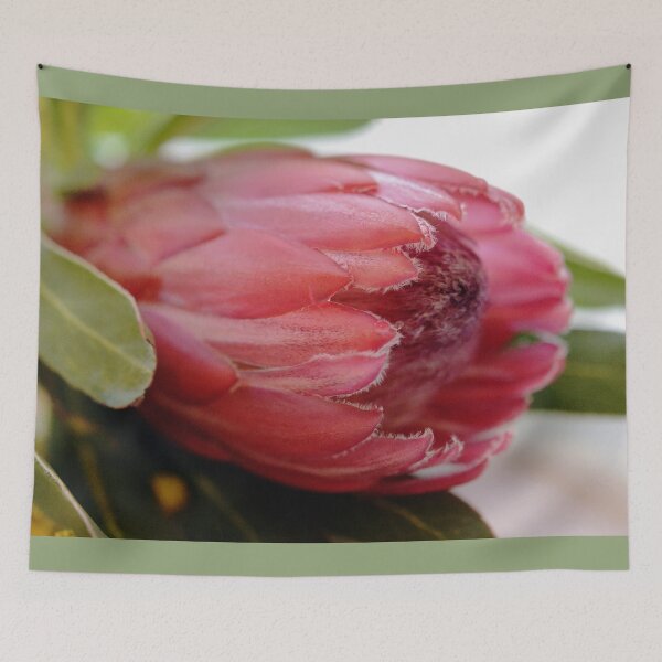 Item preview, Beauty of the Protea designed and sold by imaginethis.