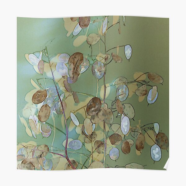 Honesty in Green Poster