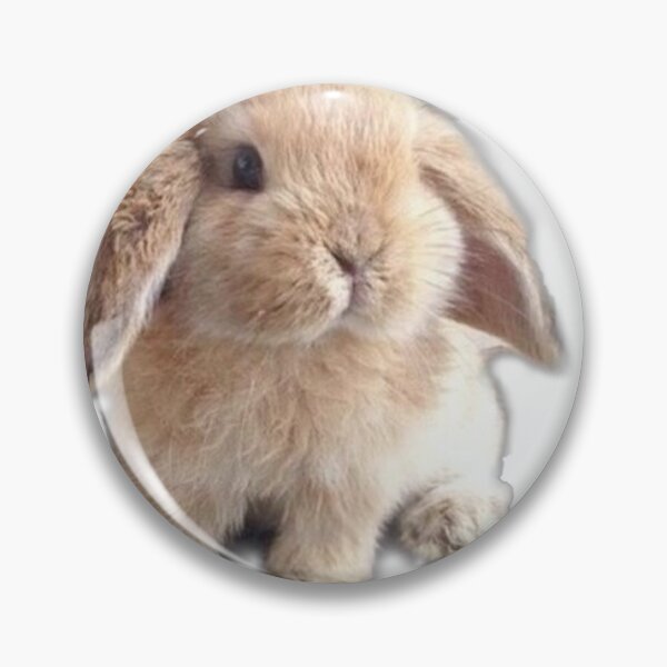 Item preview, Bunny <3 designed and sold by tayxford.