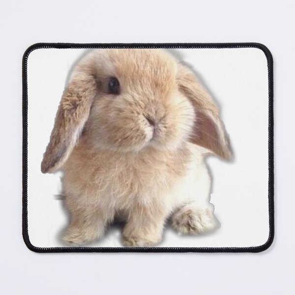 Item preview, Bunny <3 designed and sold by tayxford.