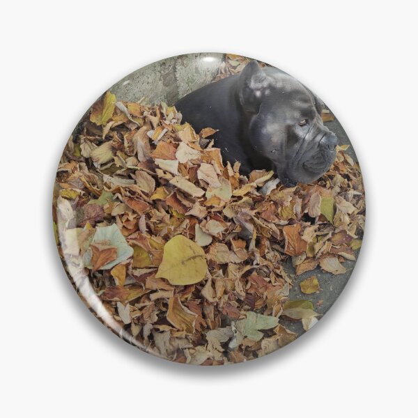 Item preview, a big dog in a pile of leaves cane corso designed and sold by BS-animals.
