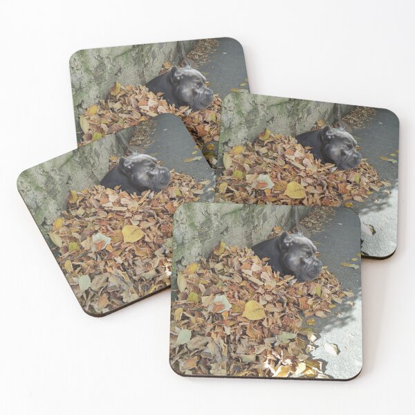 Item preview, a big dog in a pile of leaves cane corso designed and sold by BS-animals.