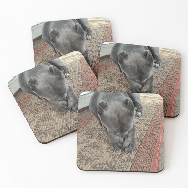 Item preview, leave me alone, you sleeping dog designed and sold by BS-animals.