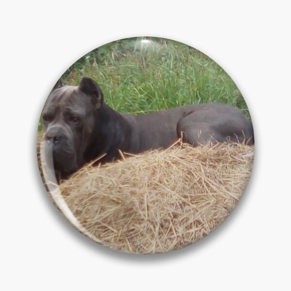 Item preview, a big dog watches from the hay cane corso designed and sold by BS-animals.