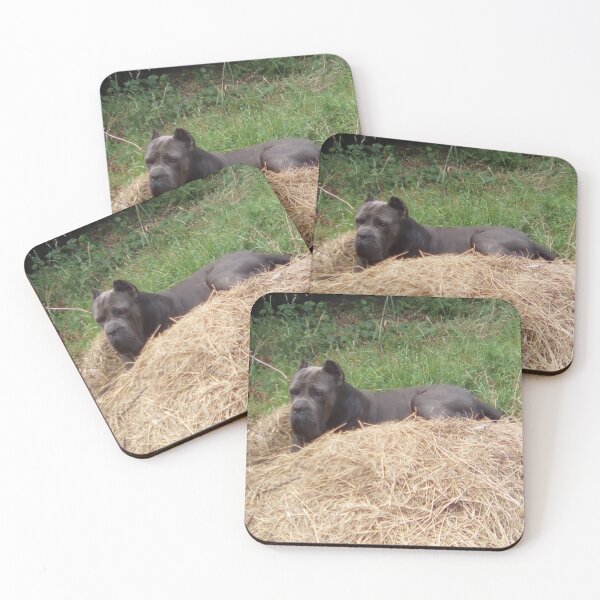 Item preview, a big dog watches from the hay cane corso designed and sold by BS-animals.