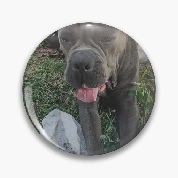 Item preview, a big dog yawns cane corso  designed and sold by BS-animals.