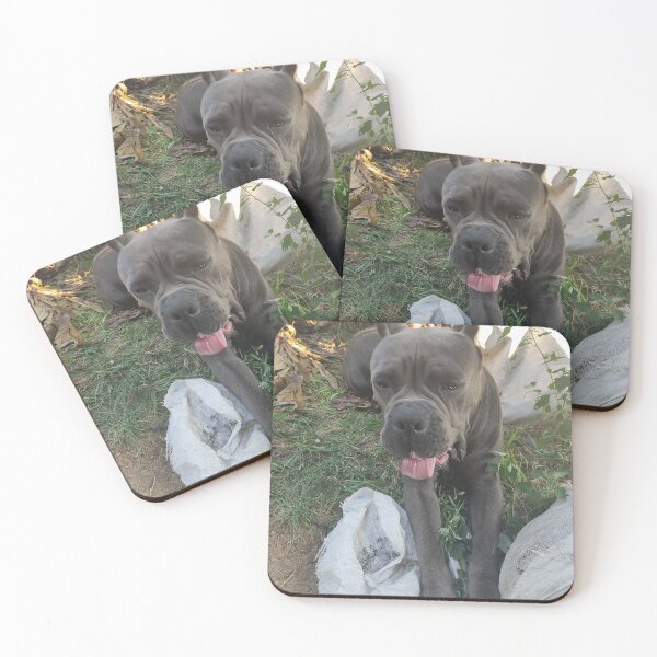 Item preview, a big dog yawns cane corso  designed and sold by BS-animals.