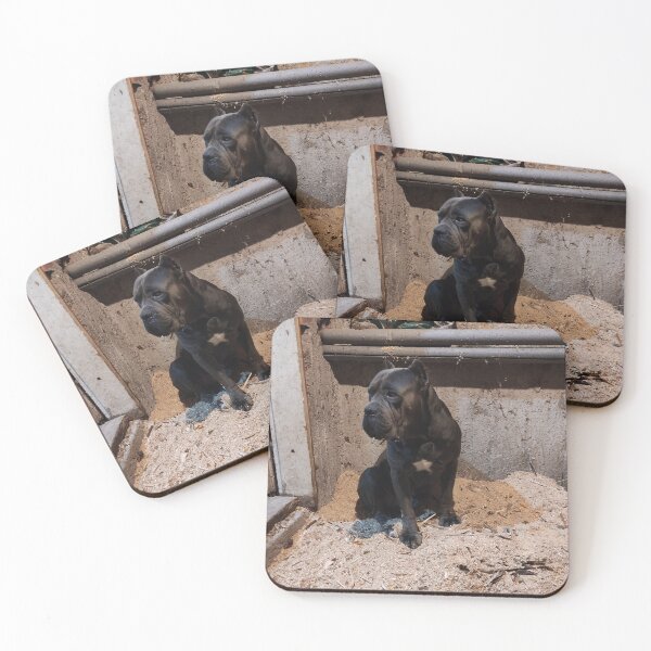 Item preview, the big dog in the boiler room Cane corso designed and sold by BS-animals.