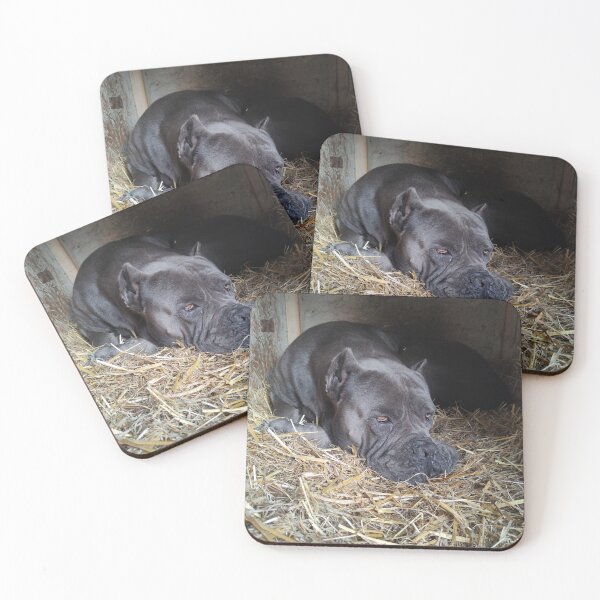 Item preview, the big dog watches under the eye Cane corso  designed and sold by BS-animals.