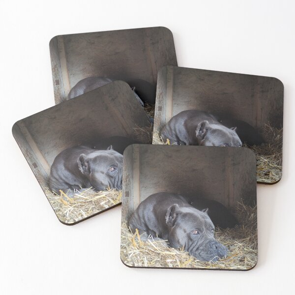 Item preview, the big dog watches out of the corner of his eye designed and sold by BS-animals.