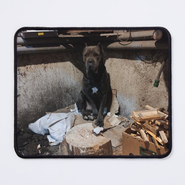 Item preview, the big dog in the boiler room is getting ready to start the furnace cane corso designed and sold by BS-animals.