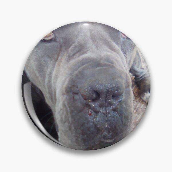 Item preview, a big dog worried about being drafted for war foils nosebleeds cane corso designed and sold by BS-animals.