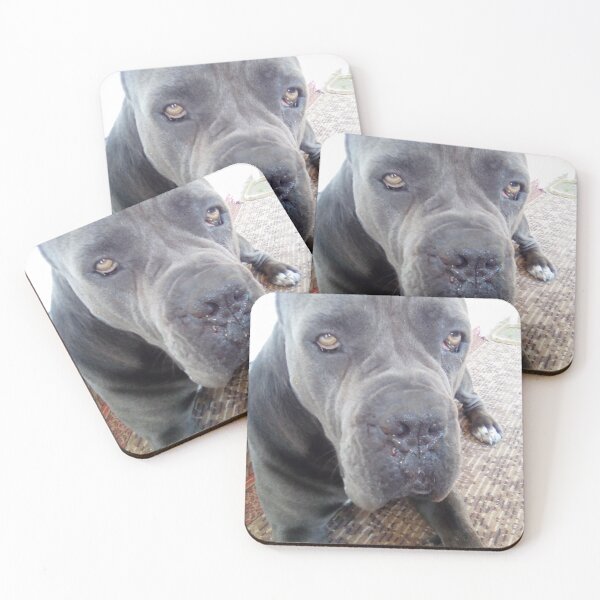 Item preview, a big dog worried about being drafted for war foils nosebleeds cane corso designed and sold by BS-animals.