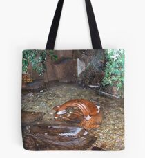 Plantpot Tote Bag
