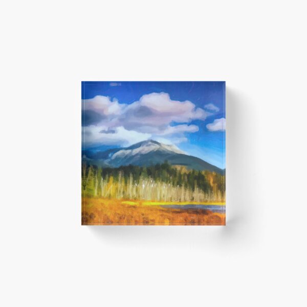 Item preview, Katahdin Dead Tree Pond designed and sold by Glenburn Graphics.