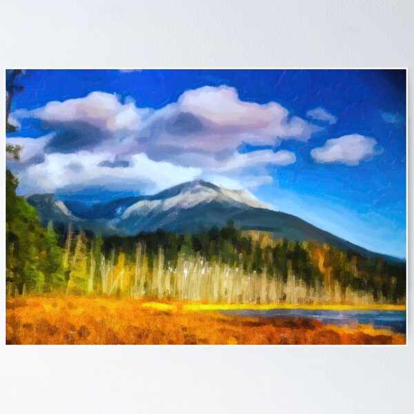 Item preview, Katahdin Dead Tree Pond designed and sold by Glenburn Graphics.