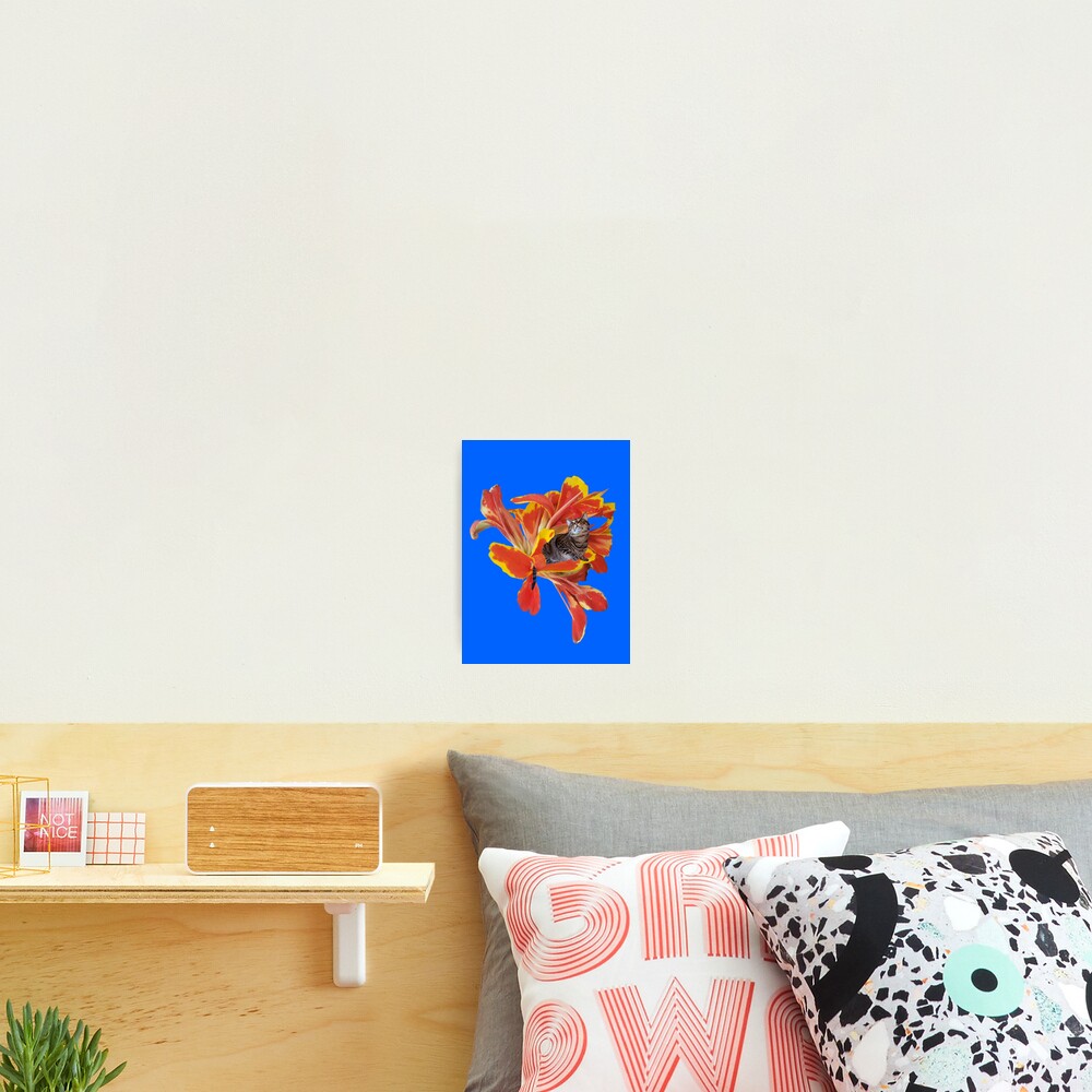 Item preview, Photographic Print designed and sold by FlynnTheGr8.